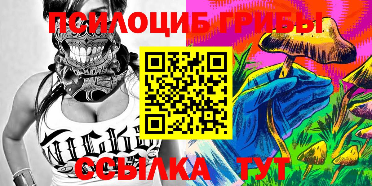 Галлюциногенные грибы Psilocybe Владикавказ