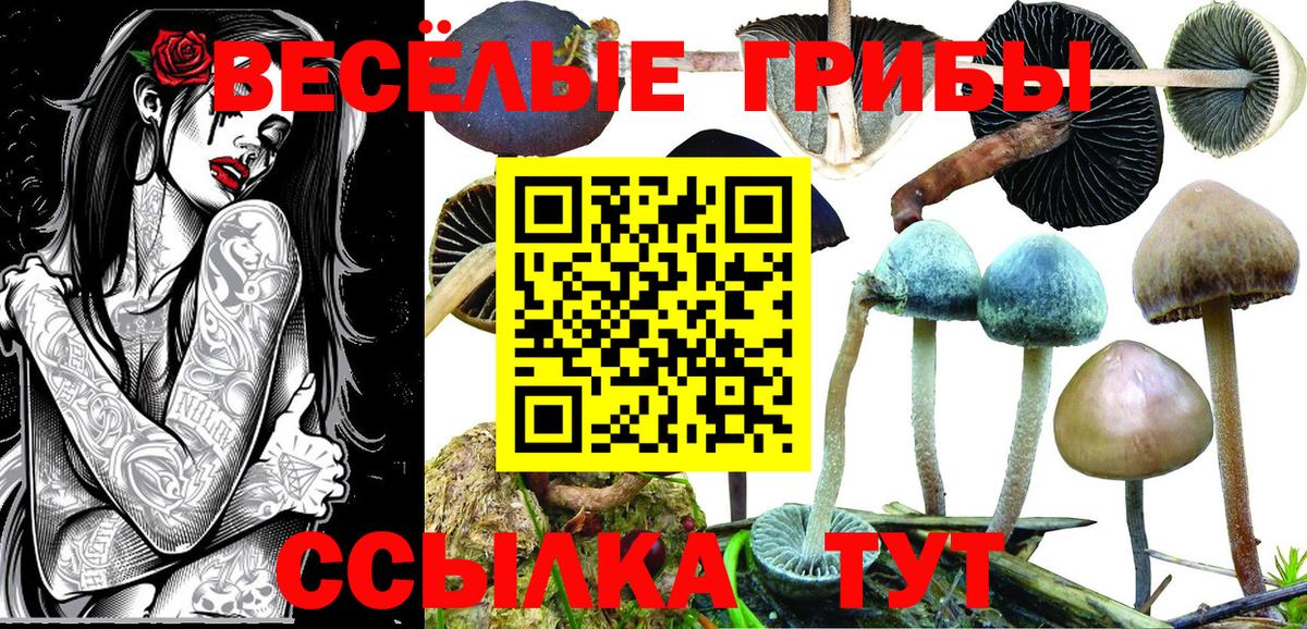 цены наркотик  Вход с VPN  Владикавказ  Галлюциногенные грибы Cubensis 